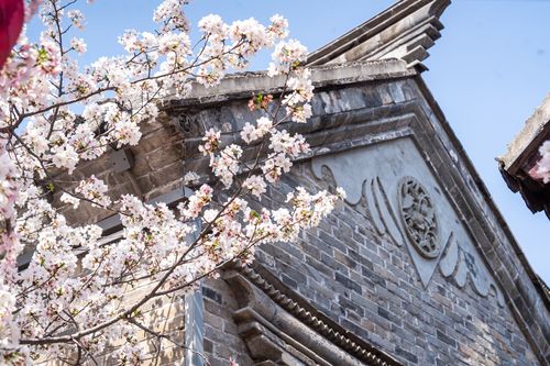 春花古建兩相宜 一樹杏花開, 彭城往事 引客來(lái)